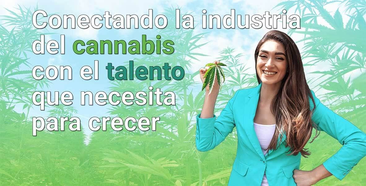 Conectando la industria del cannabis con el talento que necesita para crecer