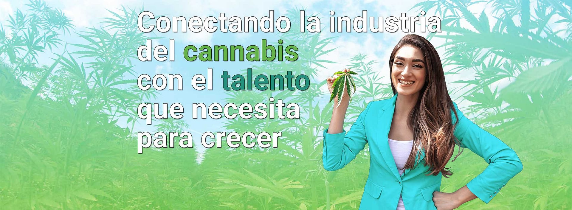 Conectando la industria del cannabis con el talento que necesita para crecer