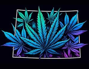 Colorado Cannabis Jobs