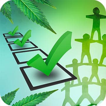 Artistic rendering of check boxes, cannabis leaves, and a team in pyramid formation