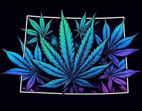 Colorado Cannabis Jobs